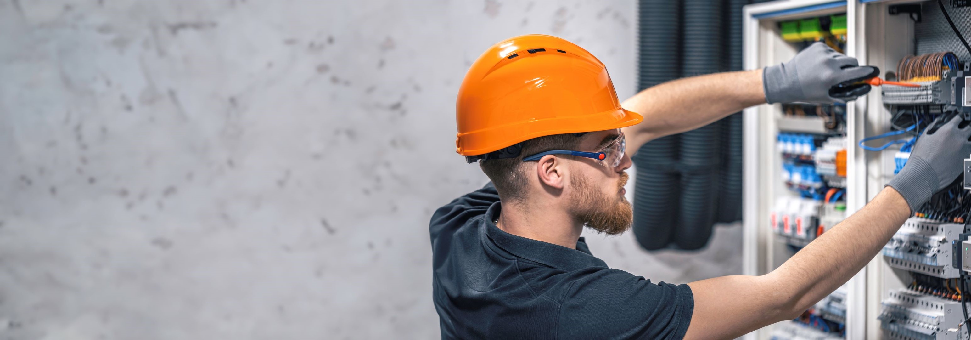 Specialist Powerline Construct la tablou electric